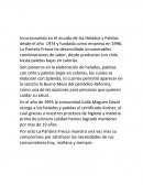 Ensayo LA PANTERA FRESCA