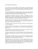 SEIS SOMBREROS PARA PENSAR.