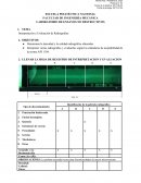 Interpretación y Evaluación de Radiografías.