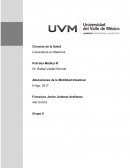 Motilidad Intestinal INTRODUCCIÓN