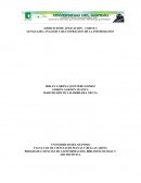 PROGRAMA CIENCIAS DE LAINFORMACION, BIBLIOTECOLOGIA Y ARCHIVISTICA