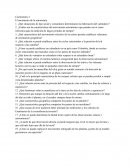 Cuestionario El nacimiento de la astronomía