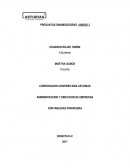 Estados financieros ensayo