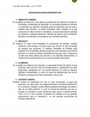 ANÁLISIS BALANCES ENERGÉTICOS