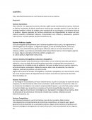 Cita y describe brevemente los cinco factores externos de la empresa