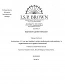Organización y gestión institucional Trabajo Práctico II