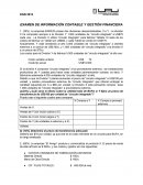 EXAMEN DE INFORMACIÓN CONTABLE Y GESTIÓN FINANCIERA