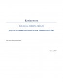 MARCO LEGAL AMBIENTAL MEXICANO ¿EL JUICIO DE AMPARO VS EL DERECHO A UN AMBIENTE ADECUADO?
