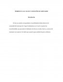 PERROS EN LAS CALLES Y LOS DAÑOS OCASIONADOS