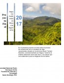 IMPACTO AMBIENTAL EN OBRAS DE INGENIERIA