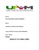 LIRERAZGO Y MANEJO DE ESCENARIOS