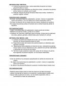 METODOLOGIA VERTICAL ERRORES MÁS COMUNES