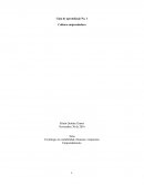 Tecnólogo en contabilidad, finanzas e impuestos