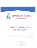 Ensayo "la revolución que nadie soñó"