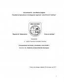 Reporte #7: Elaboración fruta en almíbar