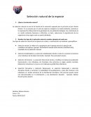 Selección natural de la especie