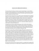 ENSAYO DE FORMACIÓN HUMANA