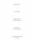 PROYECTO LECTOR - LA METAORFOSIS