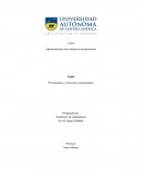 Privatización / Concesión Aeroportuaria