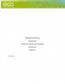 Introducción a los Procesos Industriales INFORME DE APOYO TÉCNICO