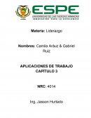 APLICACIONES DE TRABAJO CAPÍTULO