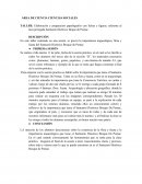 TRABAJO FINAL DE COLEGIOS SNT