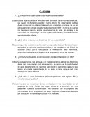 CASO IBM ¿Cómo definiría usted la estructura organizacional de IBM?