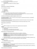 LAS EXPORTACIONES POR INTERNET