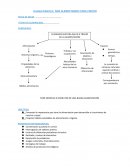Unidad didáctica: NOS ALIMENTAMOS PARA CRECER