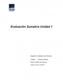 Evaluación Sumativa Unidad 1