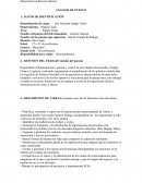 ANALISIS DE PUESTO Supply Chain