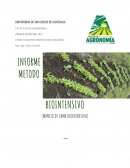 CAMA BIOINTENSIVA PRODUCCION ORGANICA