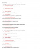 ANATOMIA. Segundo parcial