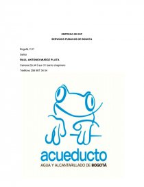 SERVICIOS PUBLICOS DE BOGOTA. Página 1