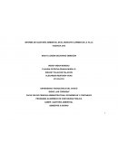 INFORME DE AUDITORÍA AMBIENTAL EN EL MUNICIPIO CARMEN DE LA VILLA