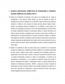 Descripción del Proyecto Corto