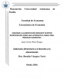 MEJORAR LA ALIMENTACION MEDIANTE HUERTOS BIOINTENSIVOS COMO UNA ALTERNATIVA VIABLE PARA PRODUCIR ALIMENTOS