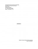 Economía Política - neoliberalismo