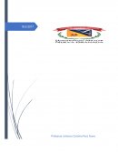 PROGRAMA DE INGENIERÍA CIVIL Asignatura: Fundaciones