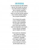 Mi poema