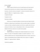 Razones para visualizar trabajo en matlab