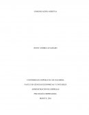 ENSAYO COMUNICACIÓN ASERTIVA