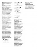 Paciente: Persona enferma que es atendida por un profesional de la salud