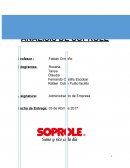 ANALISIS DE SOPROLE