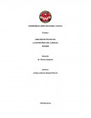 ENSAYO PELICULAS LA ESTRATEGIA DEL CARACOL Y HUNGER