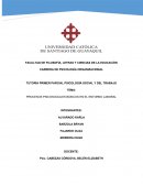 PROCESOS PSICOSOCIALES BÁSICOS EN EL ENTORNO LABORAL