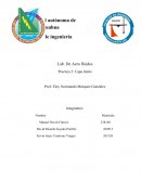 Tema de Proyected Image Velocimetry