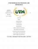 Proyecto final El Control de Calidad de café