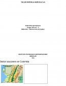 ANÁLISIS DEL ENTORNO Y SECTORIAL DE LA EMPRESA RIOPAILA AGRÍCOLA S.A