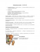 Articulaciones de cadera,rodilla y tobillo